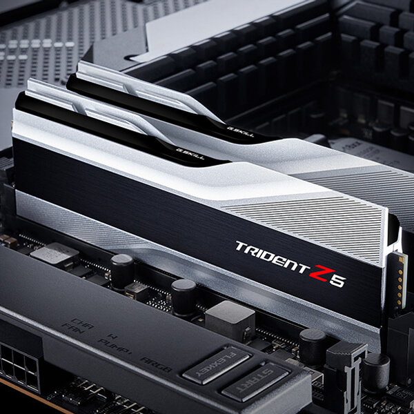 G.Skill Trident Z5 32GB (16GBx2) DDR5 5600MHz RAM (Metallic Silver)